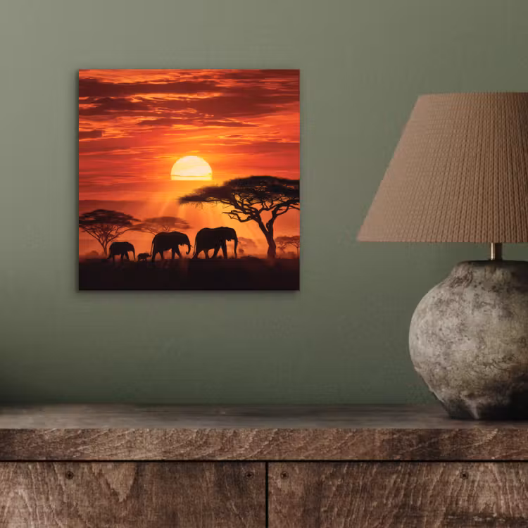 Aluminium schilderij - Savanne - Olifanten - Zonsondergang — 3