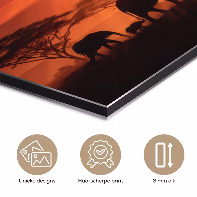 Aluminium schilderij - Savanne - Olifanten - Zonsondergang — 7