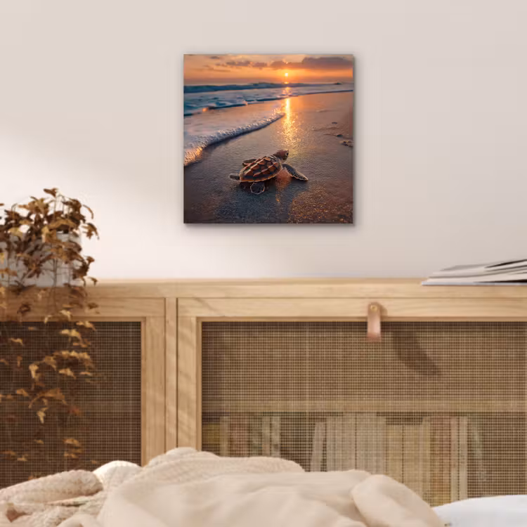 Aluminium schilderij - Schildpad - strand - Zonsondergang — 4