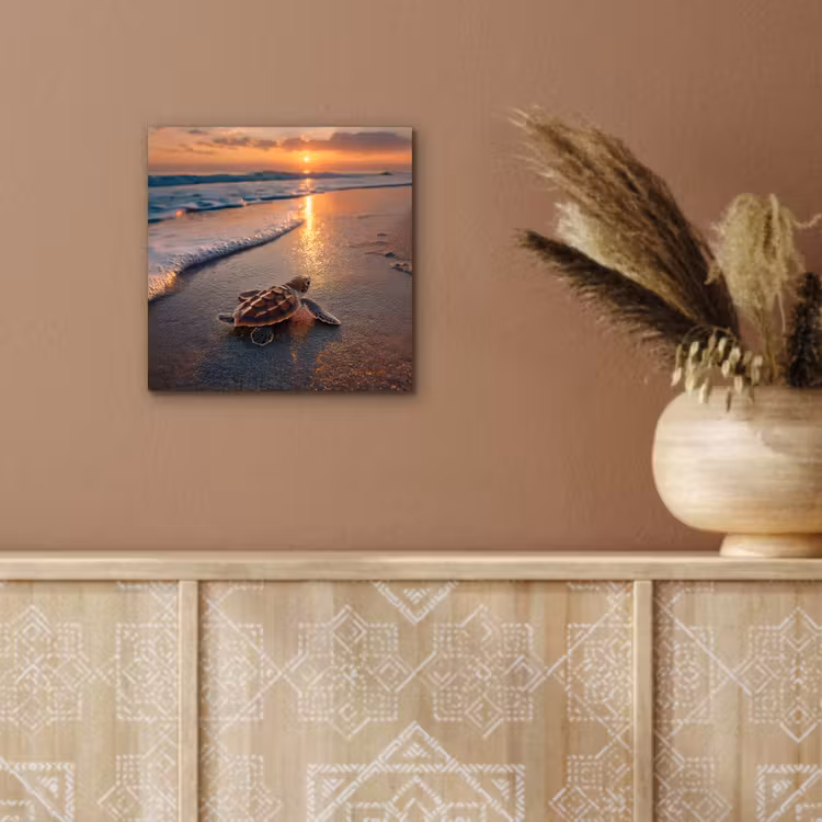Aluminium schilderij - Schildpad - strand - Zonsondergang — 5