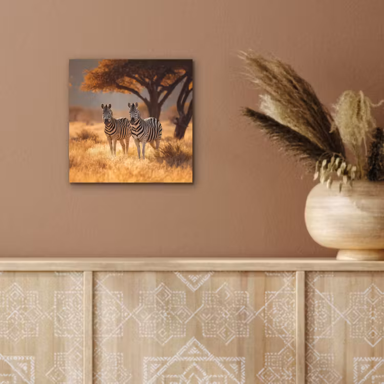 Aluminium schilderij - Zebra's - Savannelandschap - Gras — 5