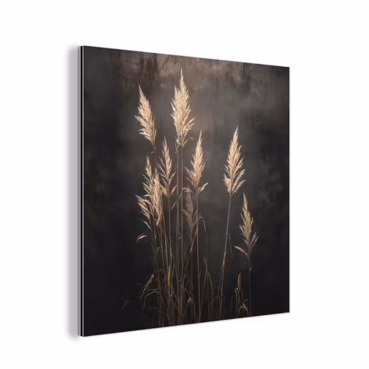 Aluminium schilderij - Siergras - Pluimen - Verlichting - Zwart — 1