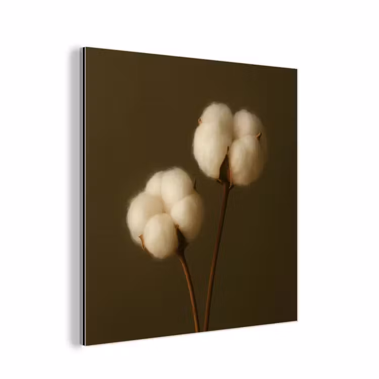 Aluminium schilderij - Takken - Katoen - Wit - Bollen — 1
