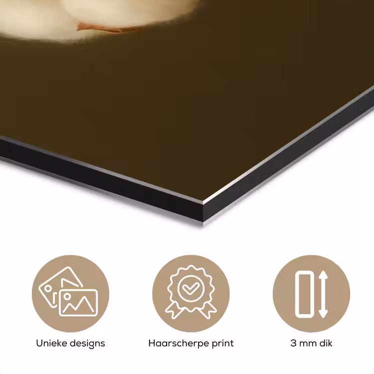 Aluminium schilderij - Takken - Katoen - Wit - Bollen — 7