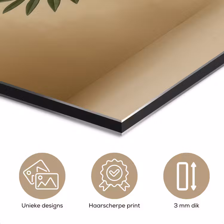 Aluminium schilderij - Vaas - Olijftakken - Bladeren - Beige — 7