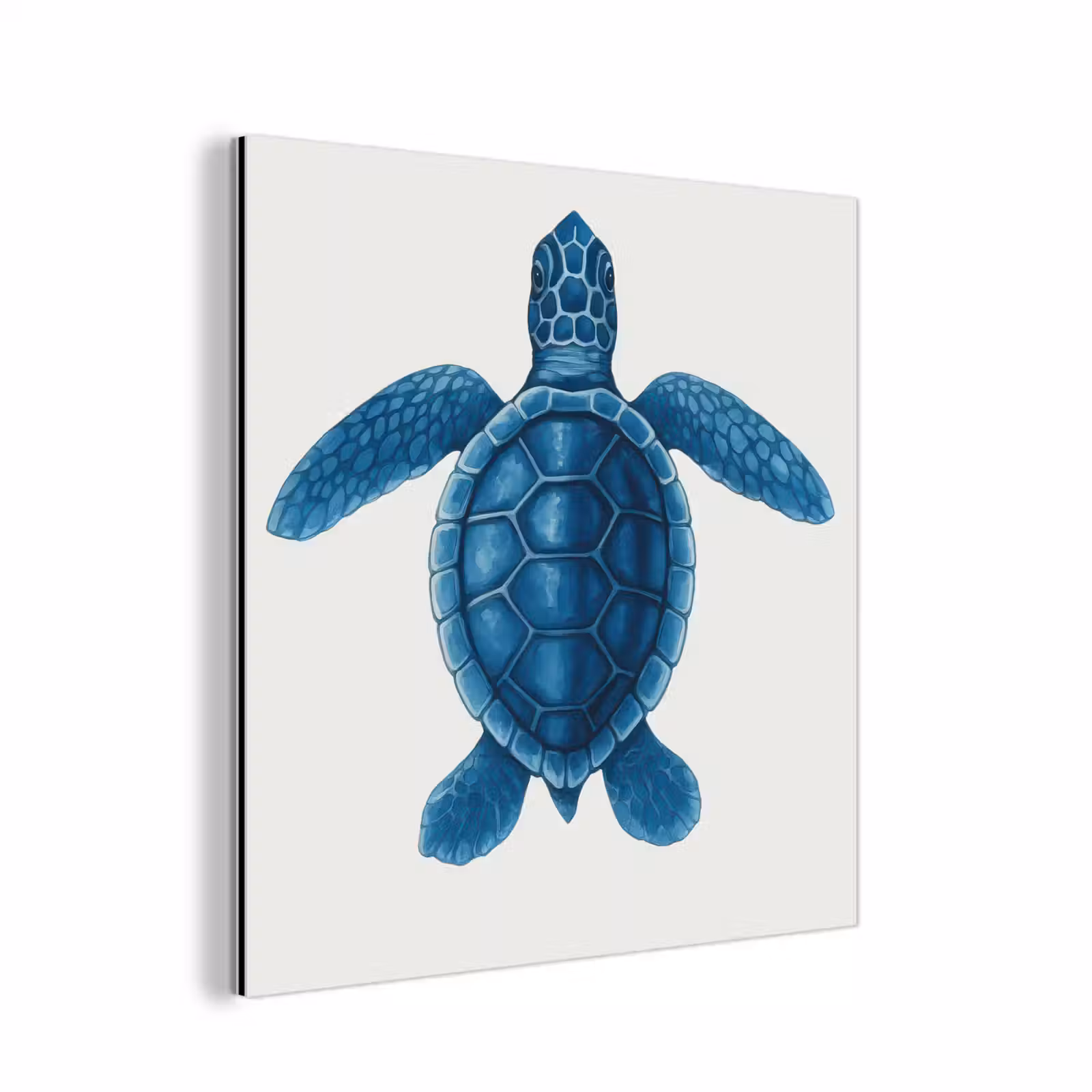 Aluminium schilderij - Schildpad - Blauw - Schild — 1