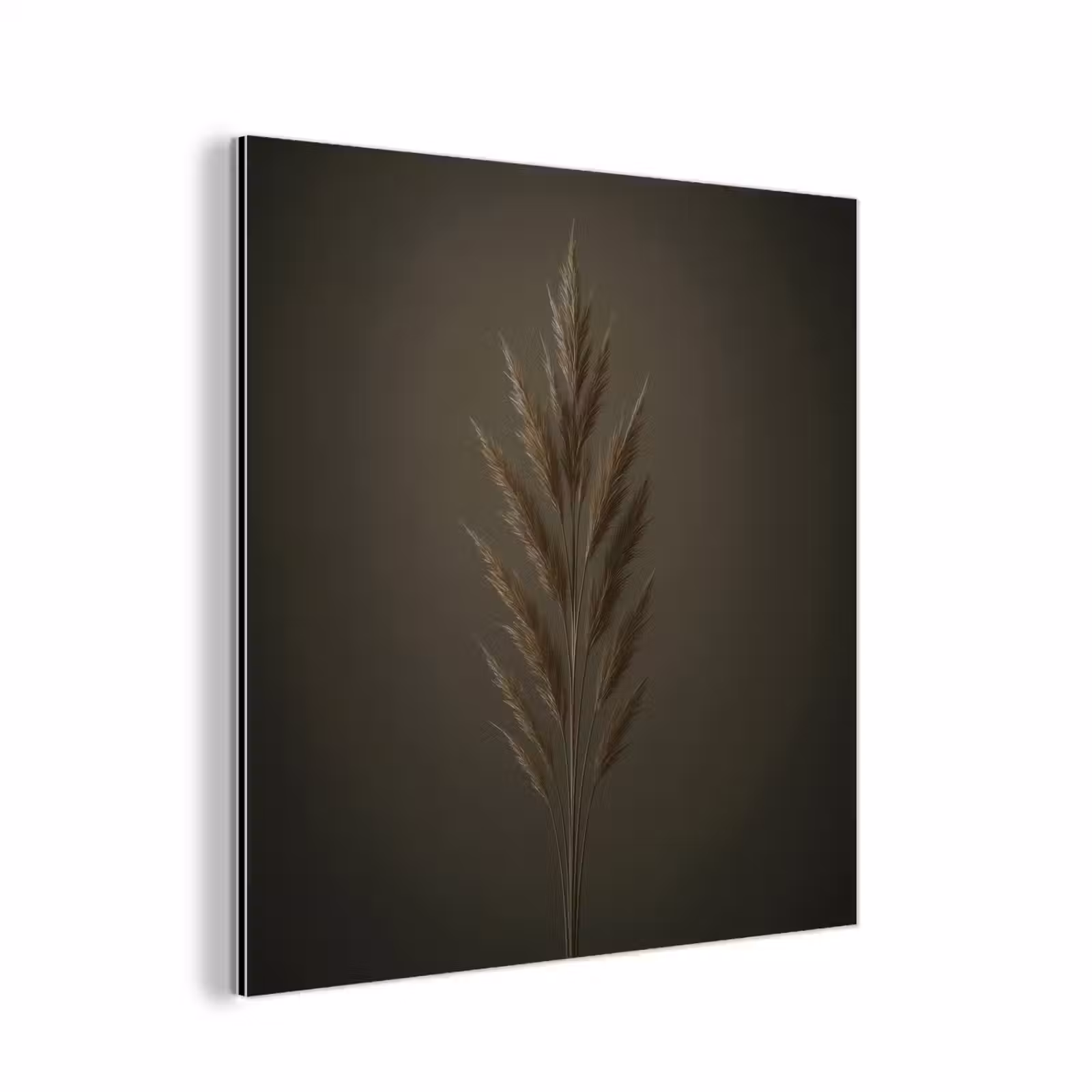 Aluminium schilderij - Tak - Pluimgras - Donkerbruin — 1