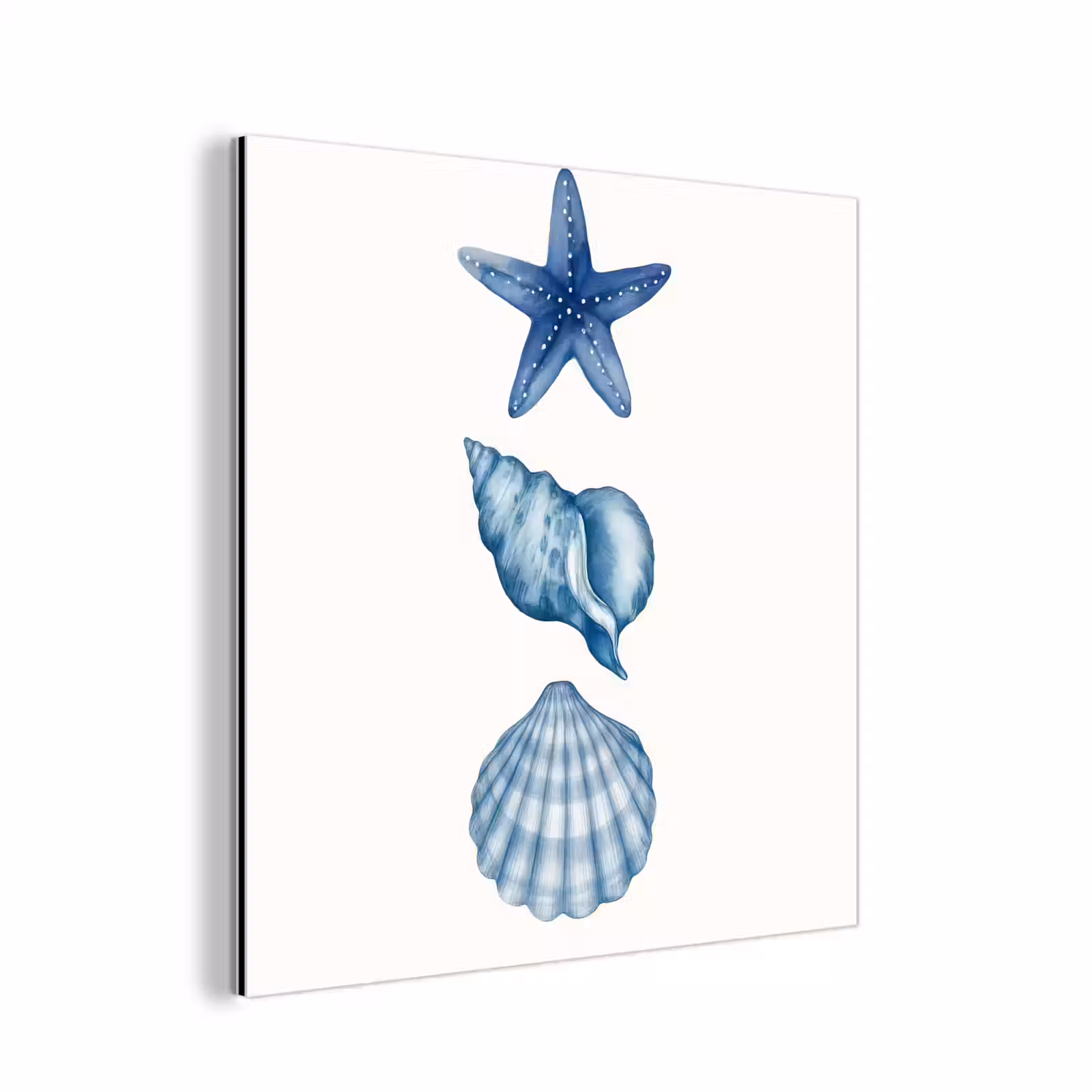 Aluminium schilderij - Zeester - Schelpen - Blauw — 1