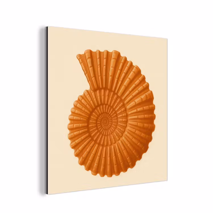 Aluminium schilderij - Schelp - Oranje - Ribbels — 1