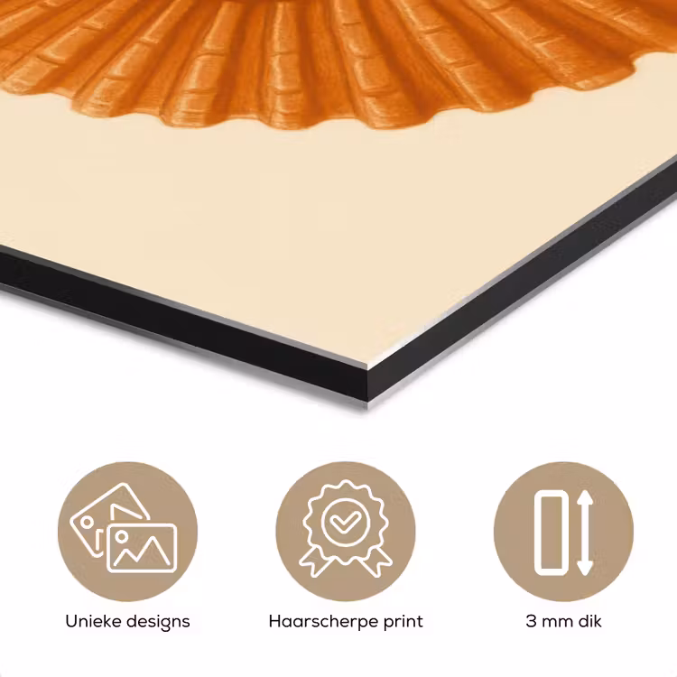Aluminium schilderij - Schelp - Oranje - Ribbels — 7