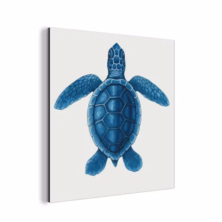 Aluminium schilderij - Schildpad - Blauw - Schild — 1