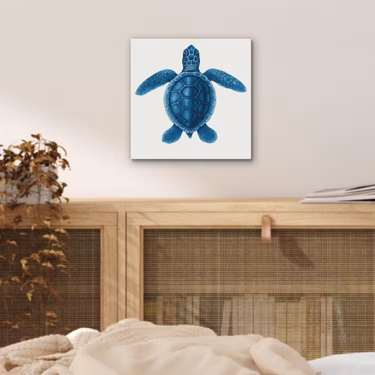 Aluminium schilderij - Schildpad - Blauw - Schild — 4