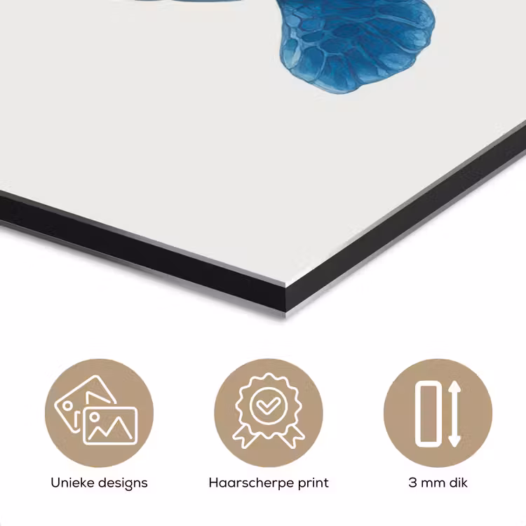 Aluminium schilderij - Schildpad - Blauw - Schild — 7
