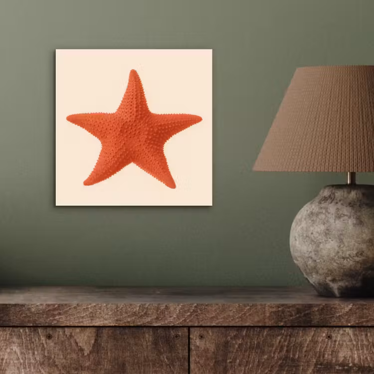 Aluminium schilderij - Zeester - Bobbels - Rood — 3