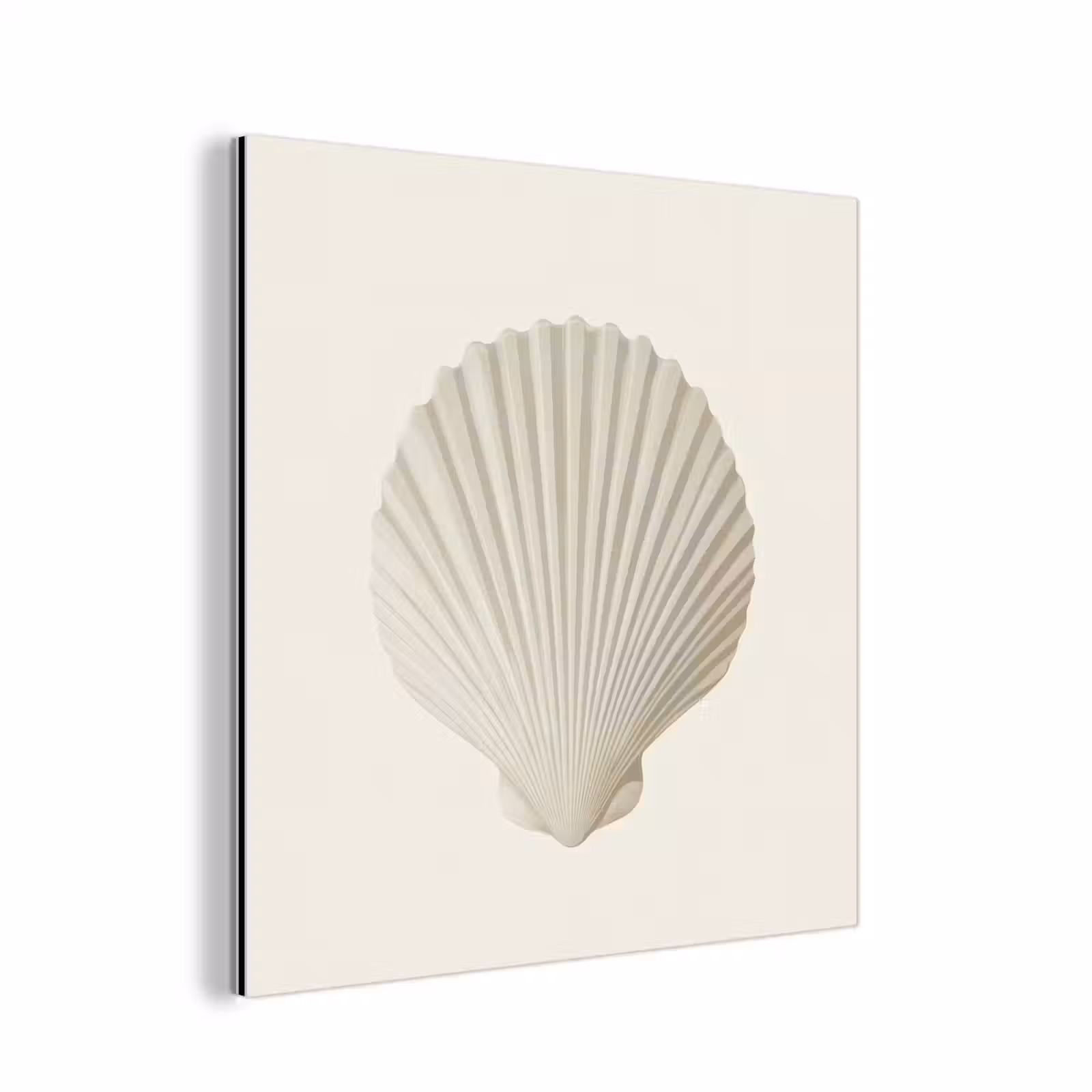 Aluminium schilderij - Schelp - Minimalistisch - Wit — 1