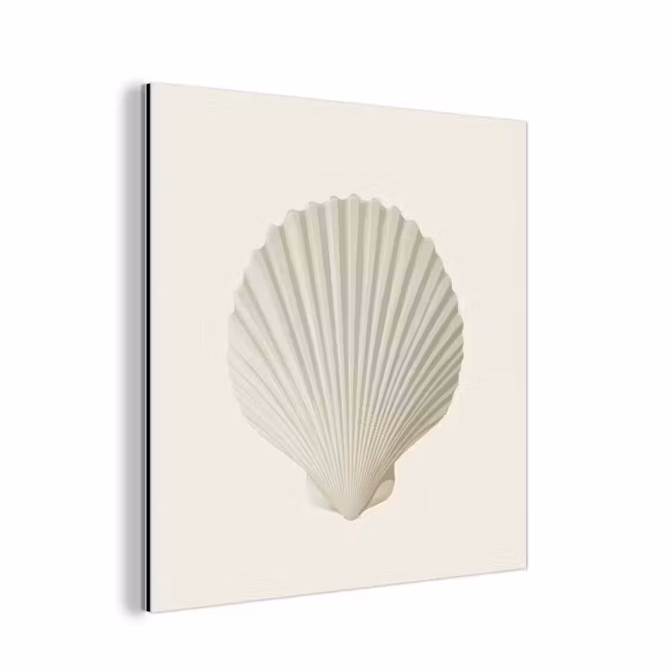 Aluminium schilderij - Schelp - Minimalistisch - Wit — 1