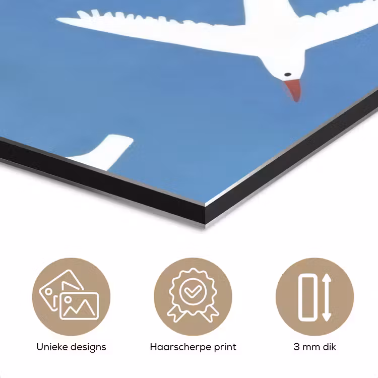Aluminium schilderij - Vogels - Wit - Patroon — 7