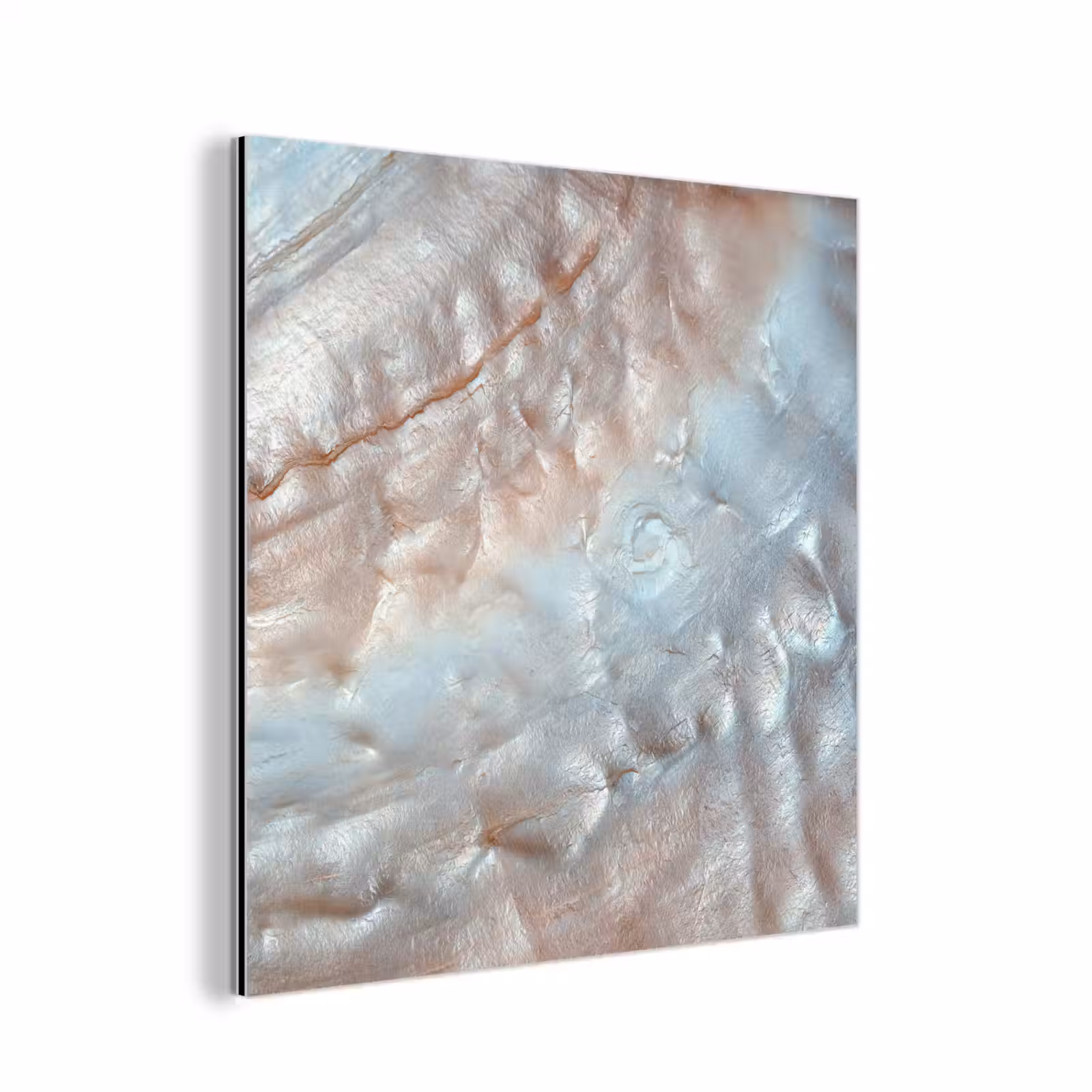 Aluminium schilderij - Schelpen - Abstract - Natuur — 1