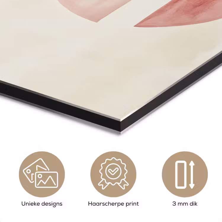 Aluminium schilderij - Minimalistisch - Cirkels - Roze — 7