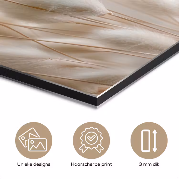 Aluminium schilderij - Pluimen - Beige - Minimalistisch — 7