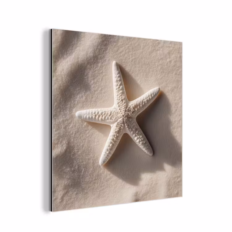 Aluminium schilderij - Strand - Zeester - Zand - Beige — 1