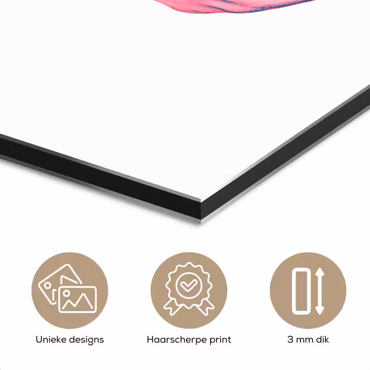 Aluminium schilderij - Schedel - Grafisch - Roze - Verdeeld — 7