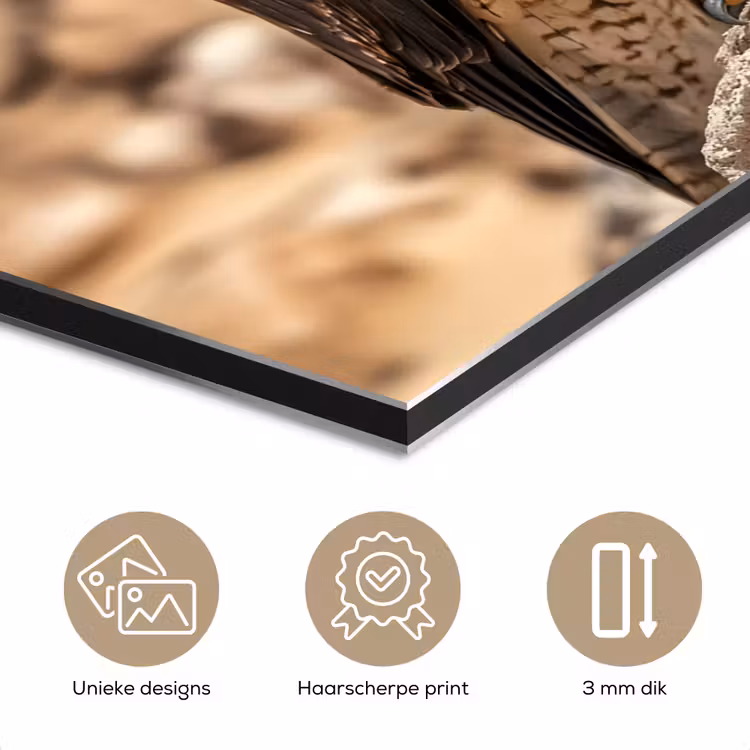 Aluminium schilderij - Valk - Vogel - Rots - Macht — 7