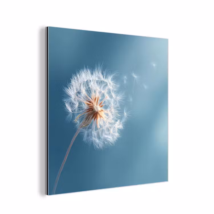 Aluminium schilderij - Paardenbloem - Wind - Blauw — 1