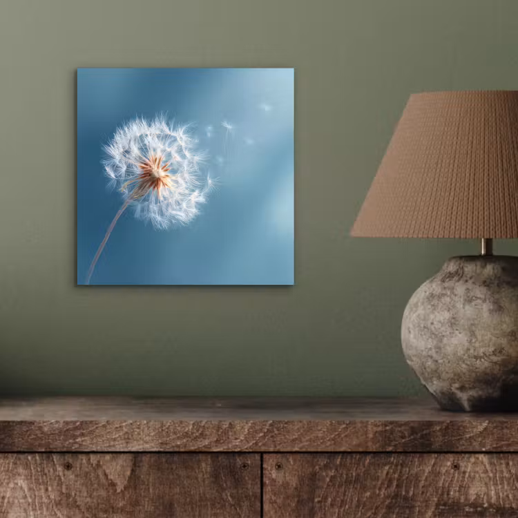 Aluminium schilderij - Paardenbloem - Wind - Blauw — 3