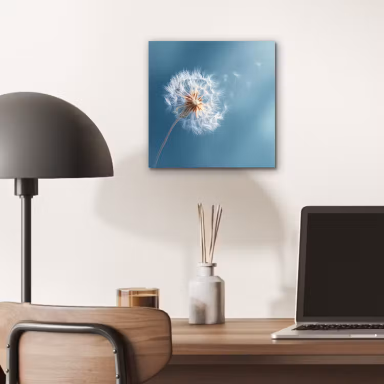 Aluminium schilderij - Paardenbloem - Wind - Blauw — 6