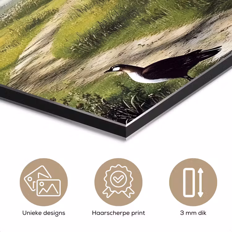 Aluminium schilderij - Zandpad - Groen landschap - Water — 7