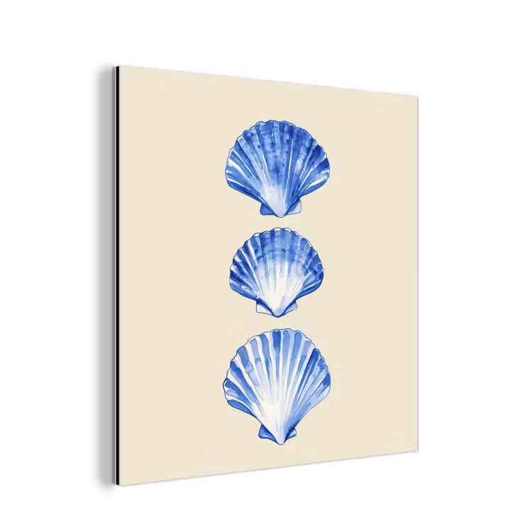 Aluminium schilderij - Schelpen - Blauw - Beige — 1