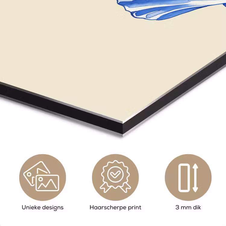 Aluminium schilderij - Schelpen - Blauw - Beige — 7