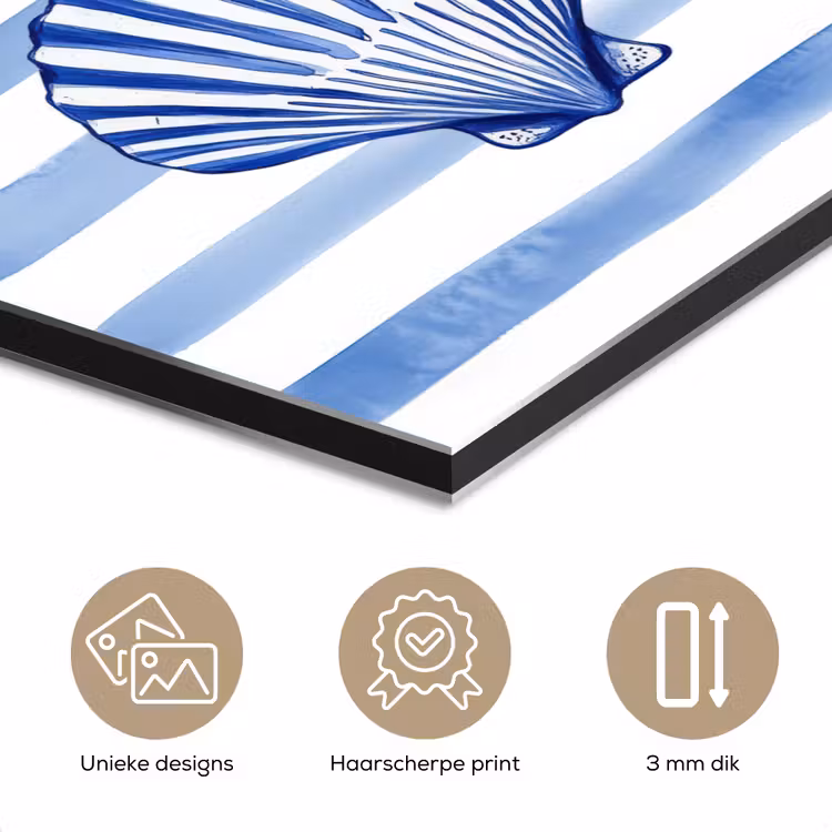 Aluminium schilderij - Vier schelpen - Blauw - Wit - Strepen — 7