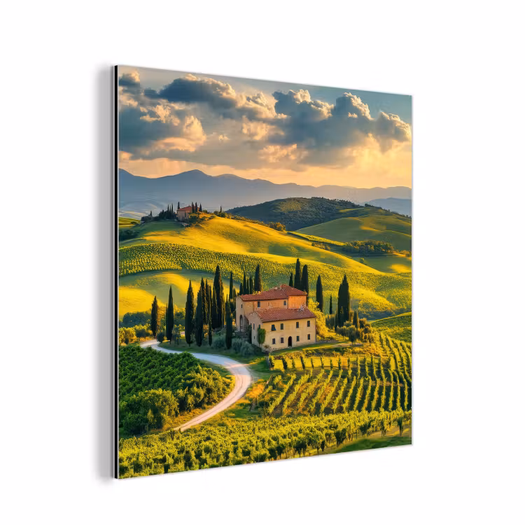 Aluminium schilderij - Toscane - Landschap - Wijngaarden — 1