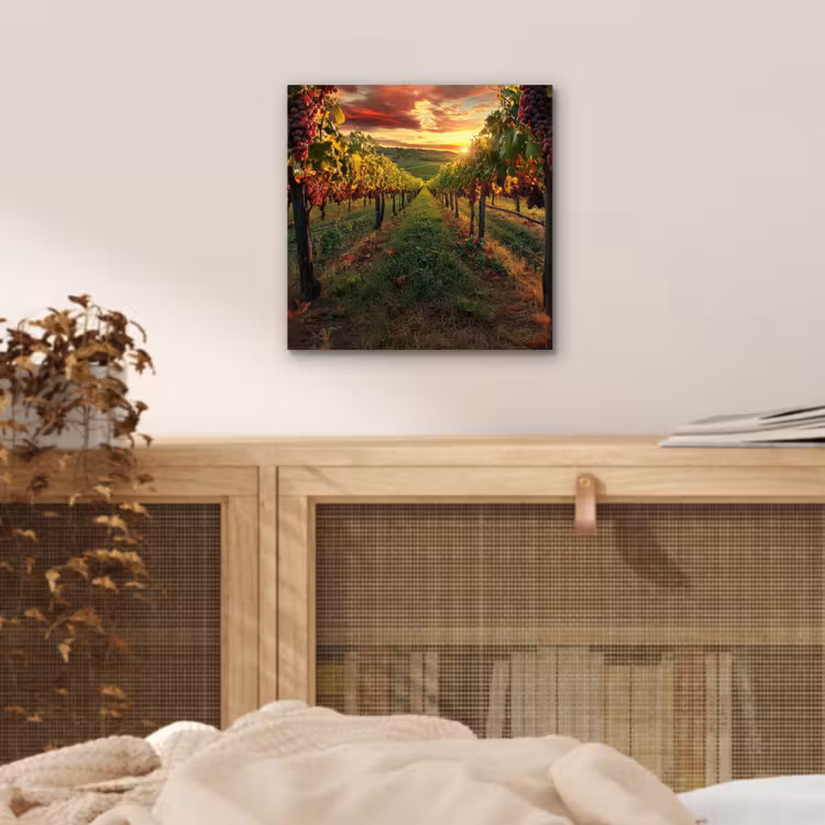 Aluminium schilderij - Wijngaard - Druiven - Zonsondergang — 4