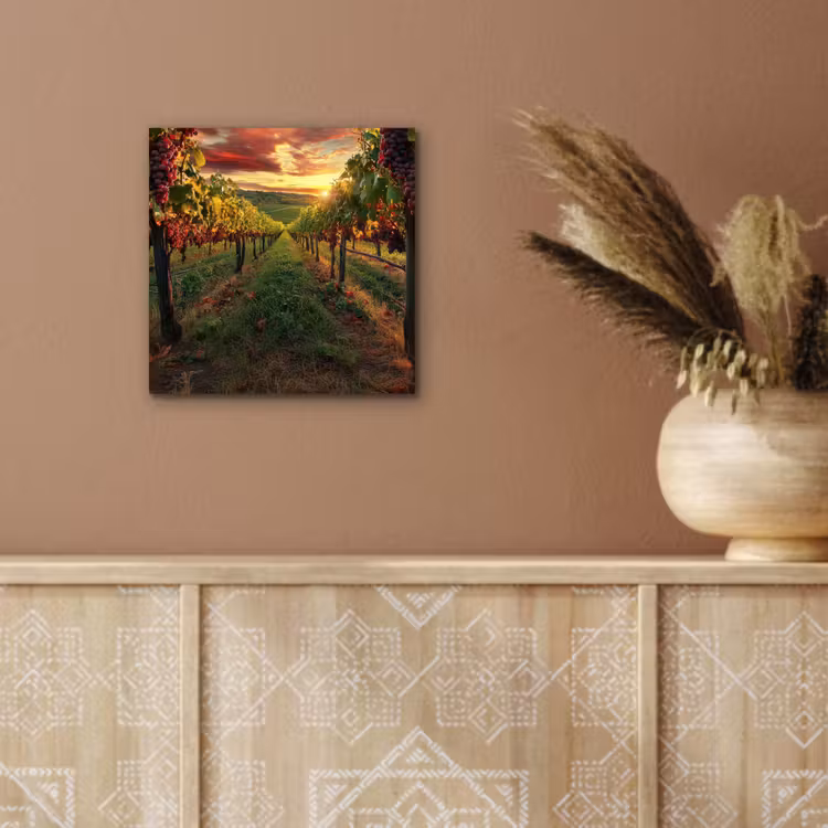 Aluminium schilderij - Wijngaard - Druiven - Zonsondergang — 5