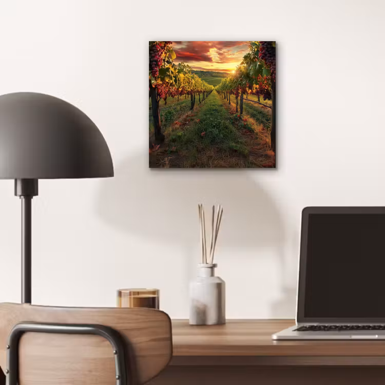 Aluminium schilderij - Wijngaard - Druiven - Zonsondergang — 6