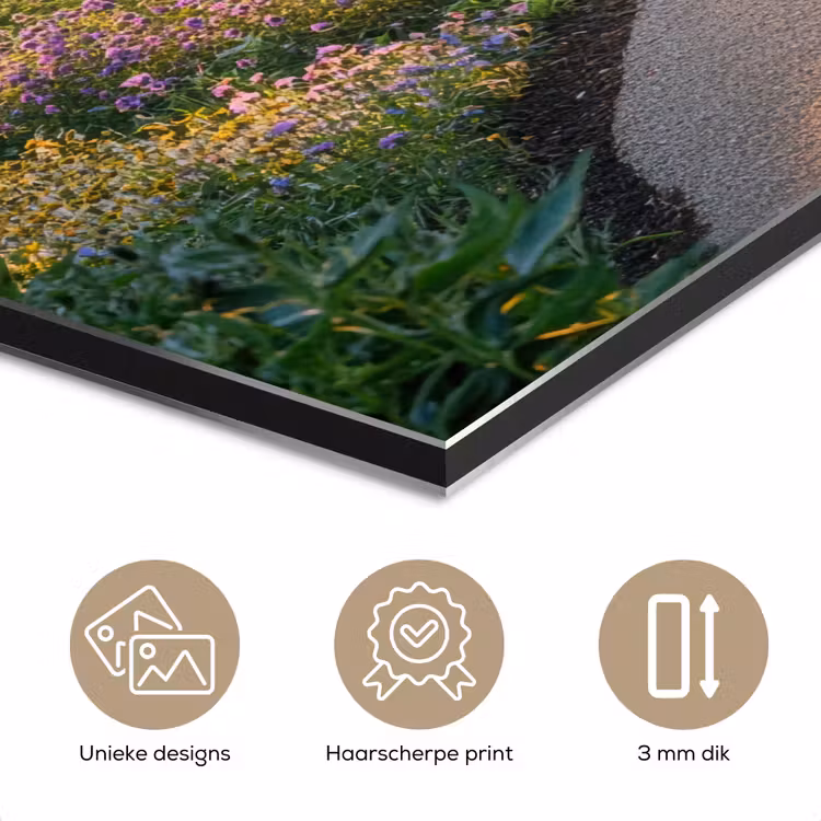 Aluminium schilderij - Pad - Bloemen - Park — 7