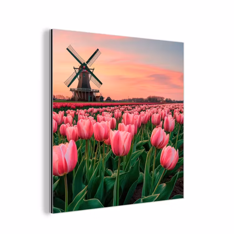 Aluminium schilderij - Tulpen - Molen - Nederland — 1