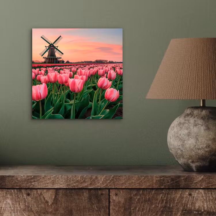 Aluminium schilderij - Tulpen - Molen - Nederland — 3