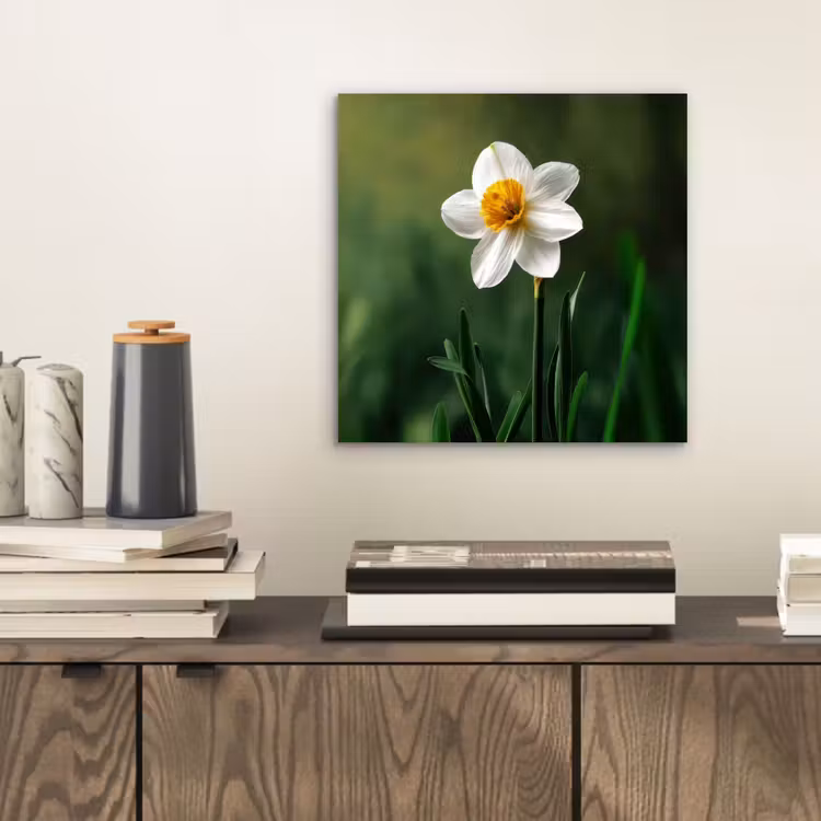 Aluminium schilderij - Narcis - Bloem - Wit - Grassprieten — 2