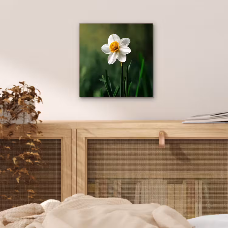 Aluminium schilderij - Narcis - Bloem - Wit - Grassprieten — 4
