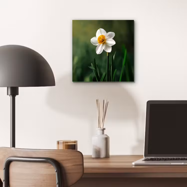 Aluminium schilderij - Narcis - Bloem - Wit - Grassprieten — 6