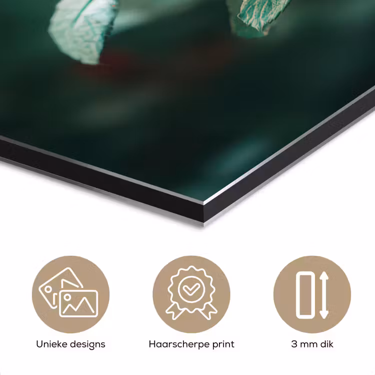 Aluminium schilderij - Roos - Bladeren - Dieprood — 7