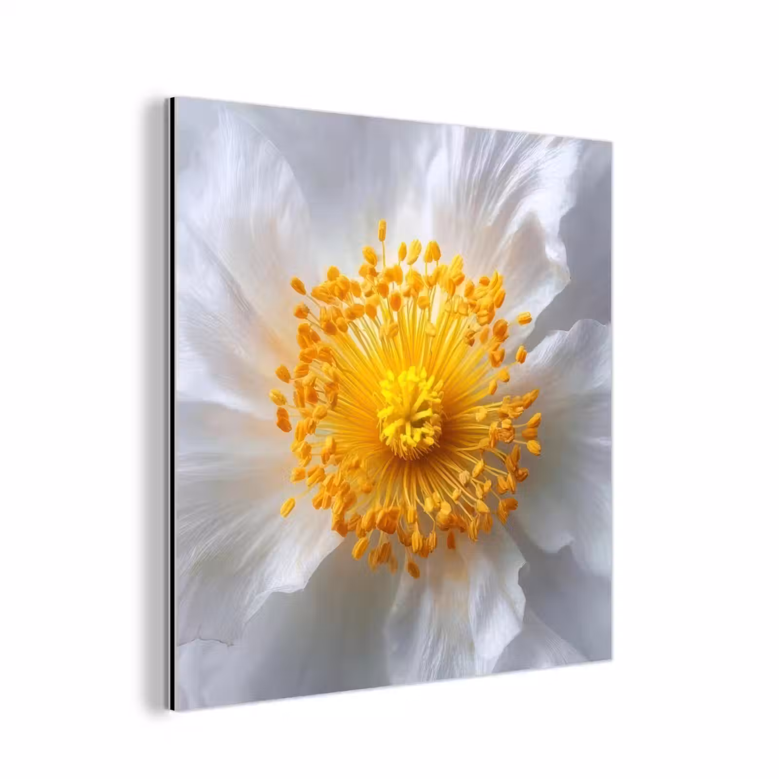 Aluminium schilderij - Wit - Bloem - Elegant — 1