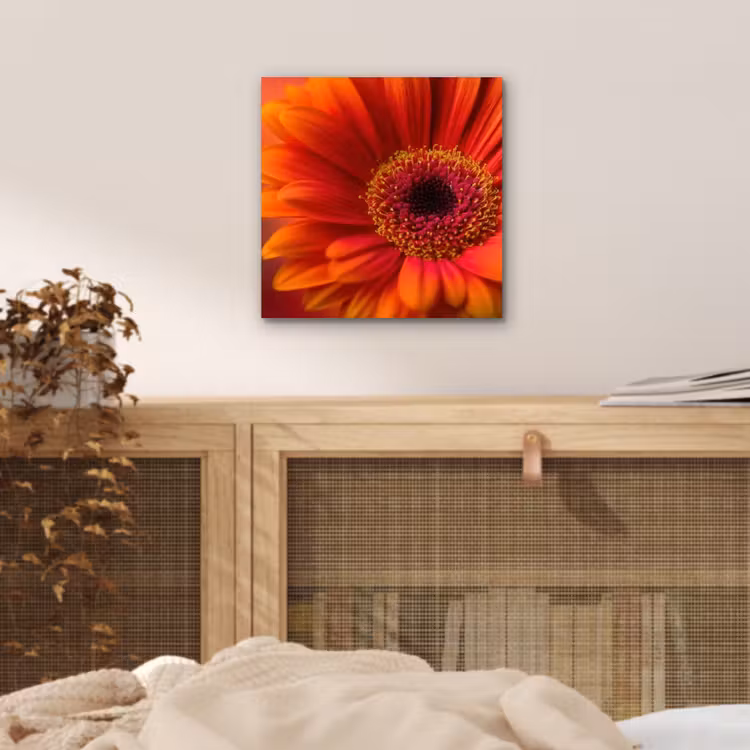 Aluminium schilderij - Oranje - Gerbera - Intens — 4