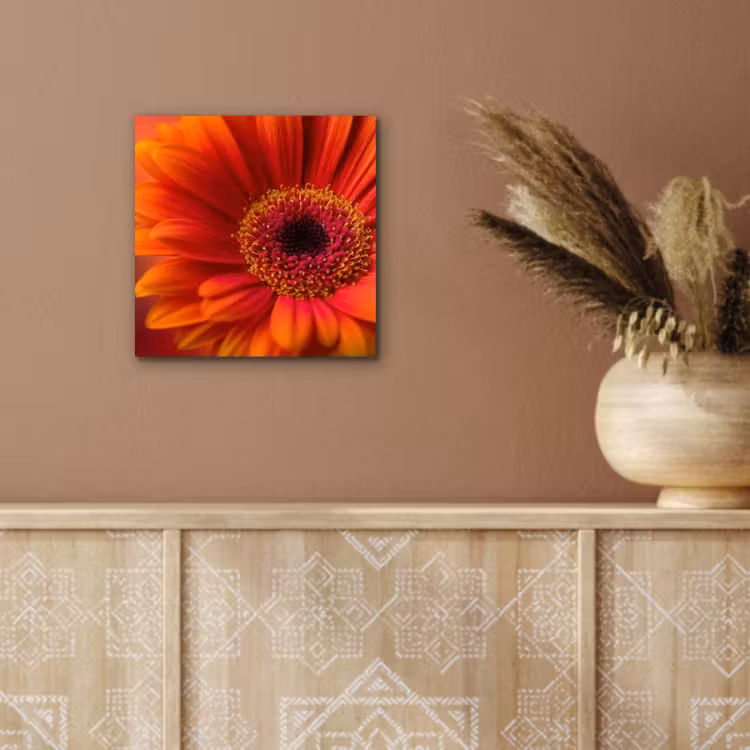 Aluminium schilderij - Oranje - Gerbera - Intens — 5