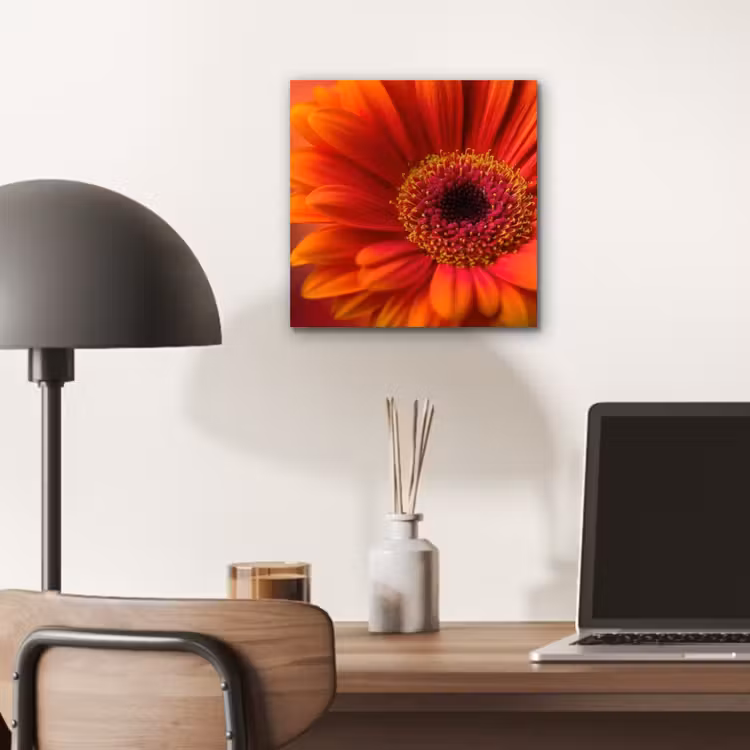 Aluminium schilderij - Oranje - Gerbera - Intens — 6