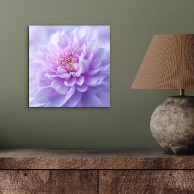Aluminium schilderij - Paars - Dahlia - Dromerig — 3